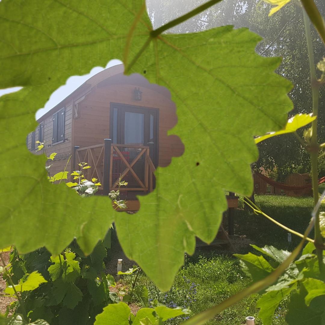 Roulotte Et Gite De Chiroubles Exteriör bild