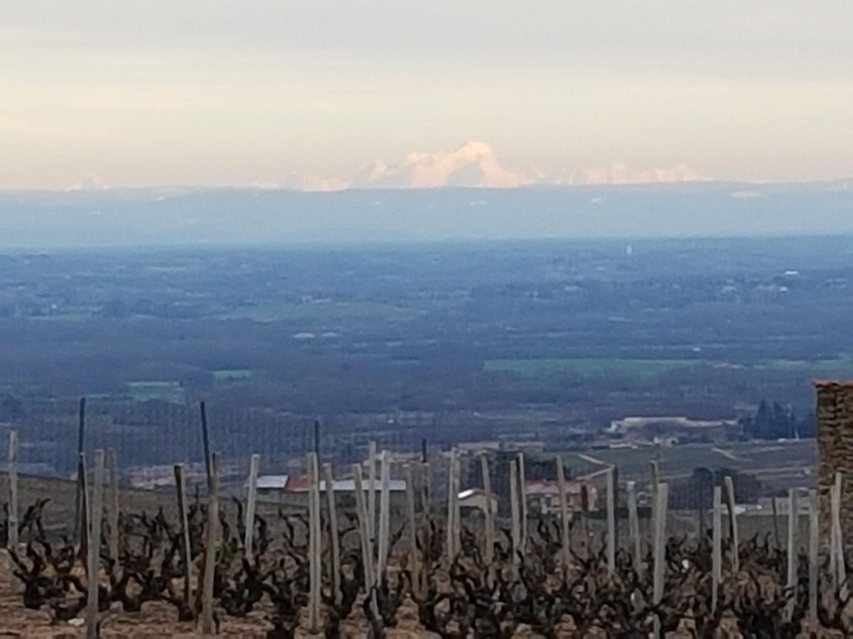 Roulotte Et Gite De Chiroubles Exteriör bild